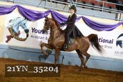 21YN_35204 thumbnail