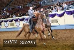 21YN_35205 thumbnail