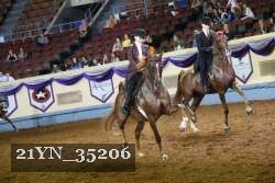 21YN_35206 thumbnail