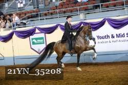 21YN_35208 thumbnail