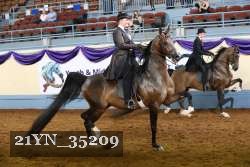 21YN_35209 thumbnail
