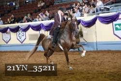 21YN_35211 thumbnail