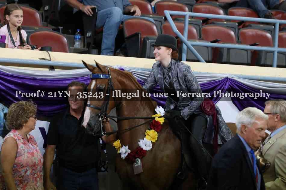 Proof Number 21YN_35243