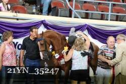 21YN_35247 thumbnail