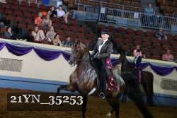 21YN_35253 thumbnail