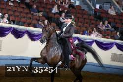 21YN_35254 thumbnail