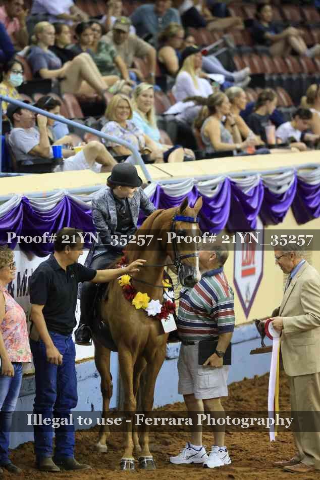 Proof Number 21YN_35257