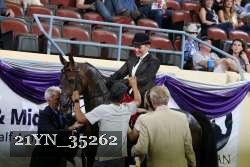 21YN_35262 thumbnail