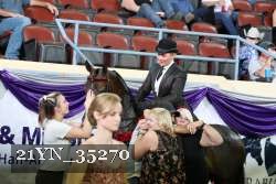 21YN_35270 thumbnail