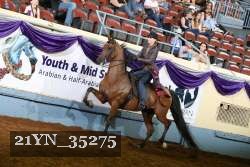 21YN_35275 thumbnail