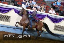 21YN_35278 thumbnail