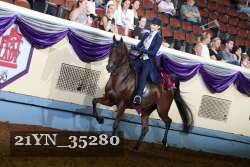 21YN_35280 thumbnail