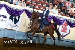 21YN_35281 thumbnail