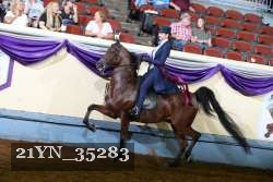 21YN_35283 thumbnail