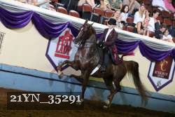 21YN_35291 thumbnail