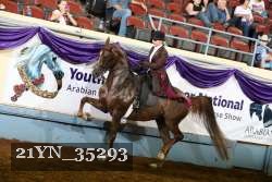 21YN_35293 thumbnail