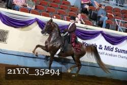 21YN_35294 thumbnail