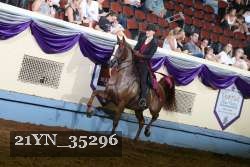 21YN_35296 thumbnail