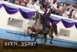 21YN_35297 thumbnail
