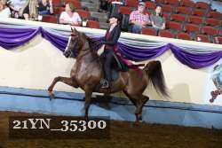 21YN_35300 thumbnail