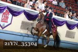 21YN_35304 thumbnail