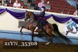 21YN_35308 thumbnail
