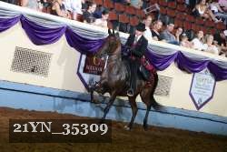 21YN_35309 thumbnail