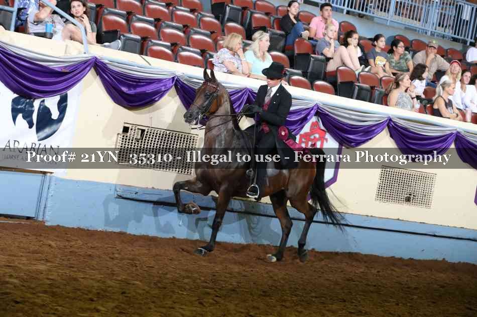 Proof Number 21YN_35310
