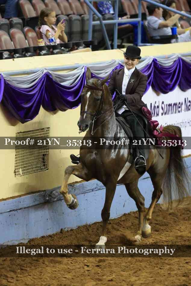 Proof Number 21YN_35313
