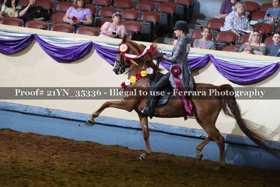 Proof Number 21YN_35336