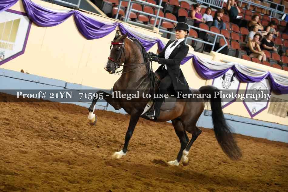 Proof Number 21YN_71595