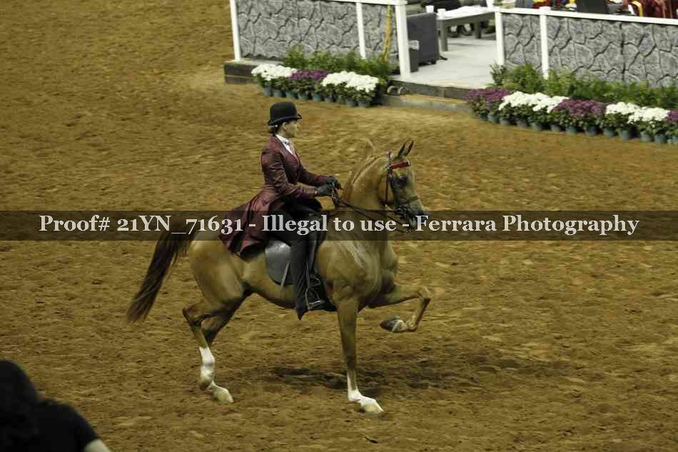 Proof Number 21YN_71631