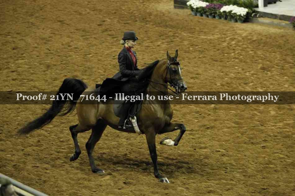 Proof Number 21YN_71644