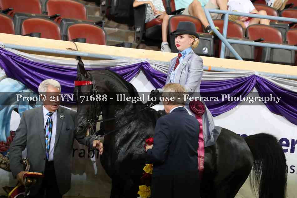 Proof Number 21YN_71688