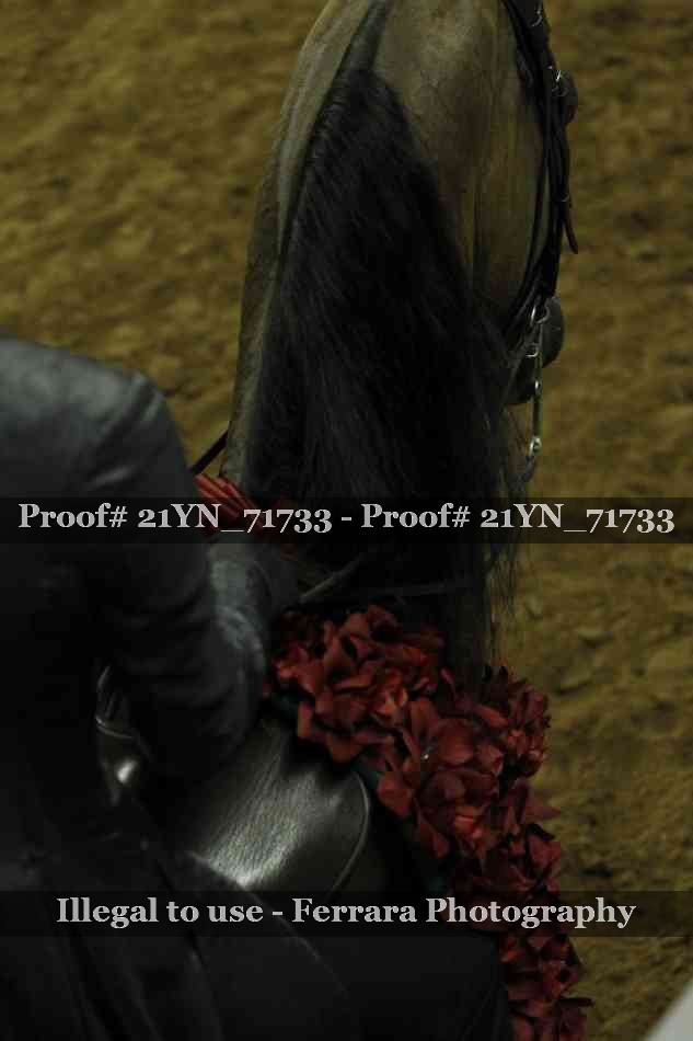Proof Number 21YN_71733