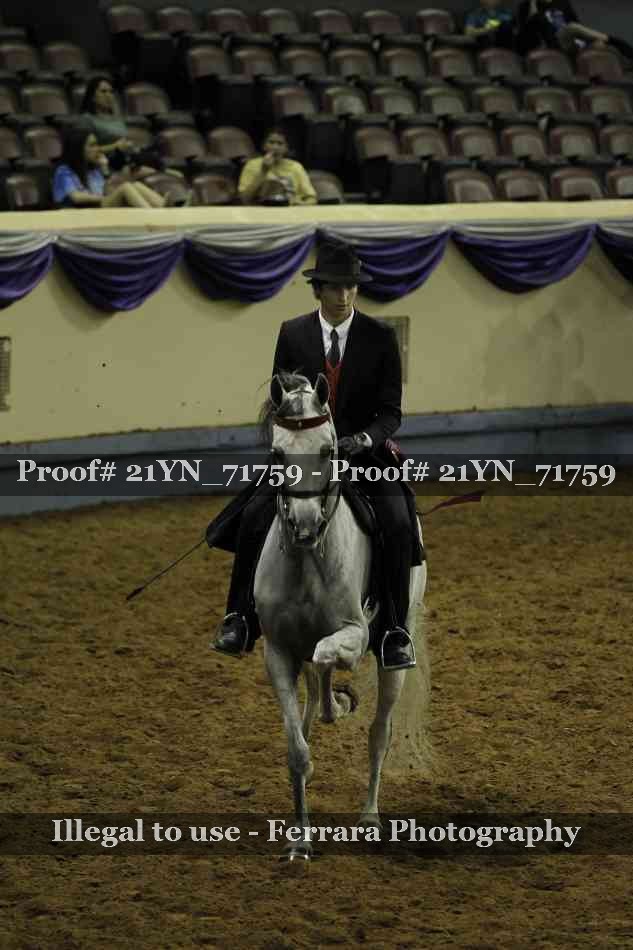 Proof Number 21YN_71759