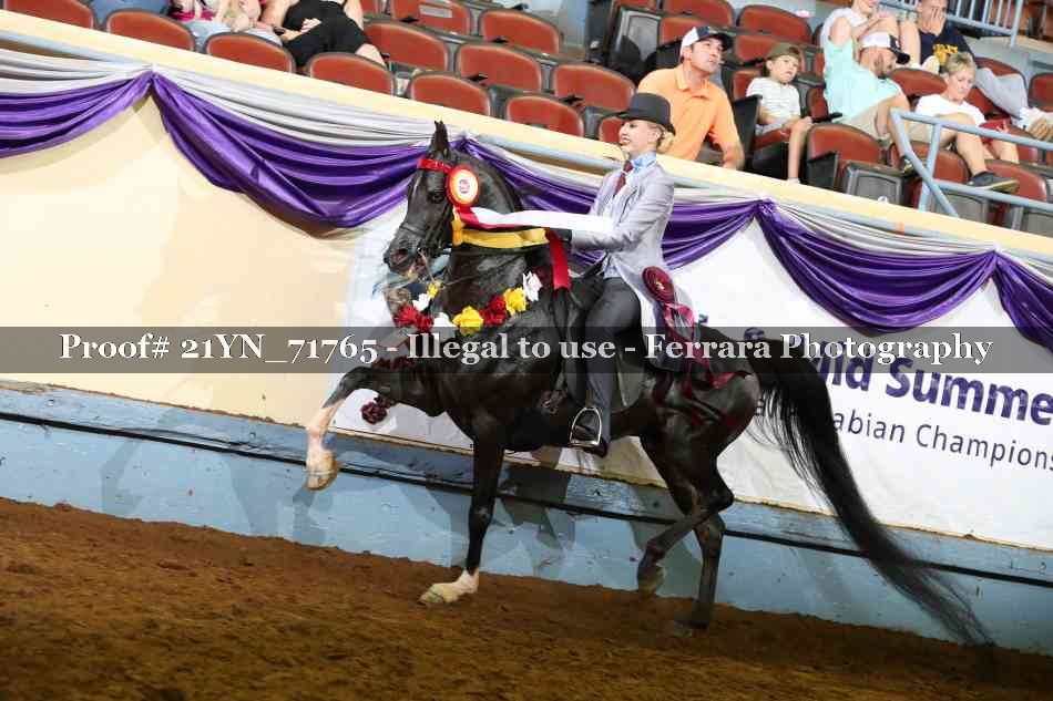 Proof Number 21YN_71765