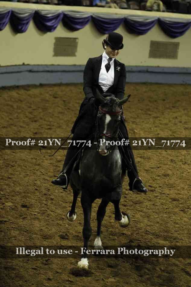 Proof Number 21YN_71774