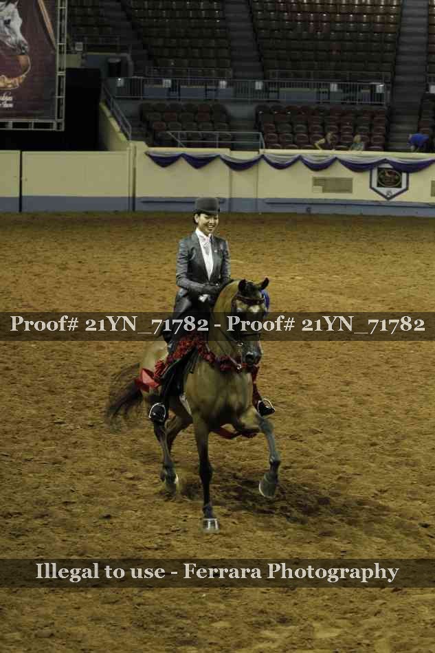Proof Number 21YN_71782