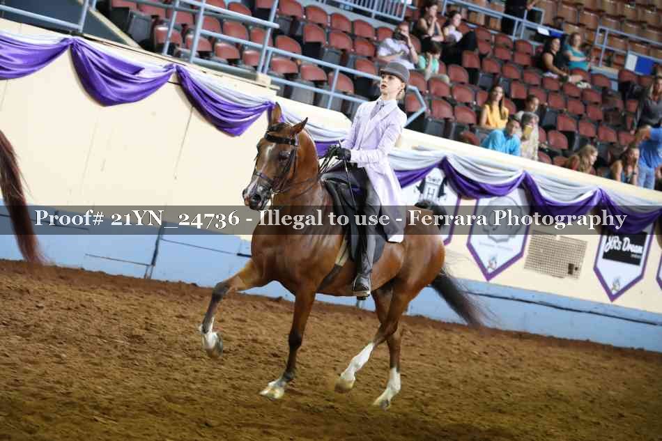 Proof Number 21YN_24736