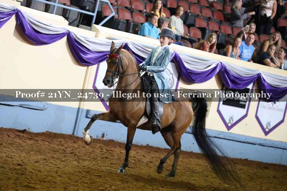 Proof Number 21YN_24739