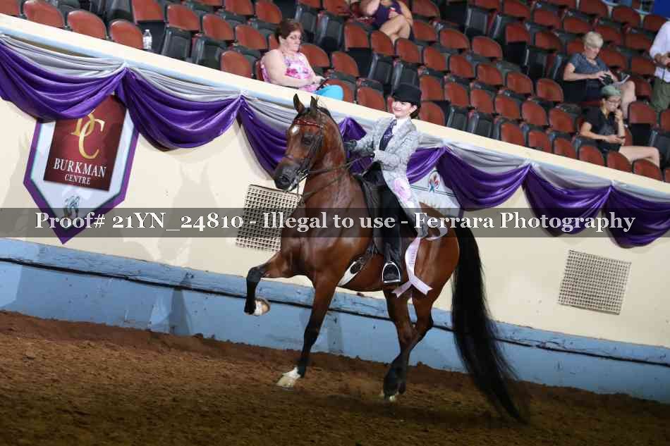 Proof Number 21YN_24810