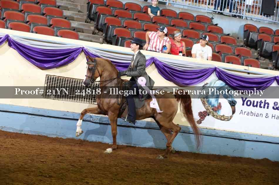 Proof Number 21YN_24818