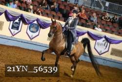21YN_56539 thumbnail