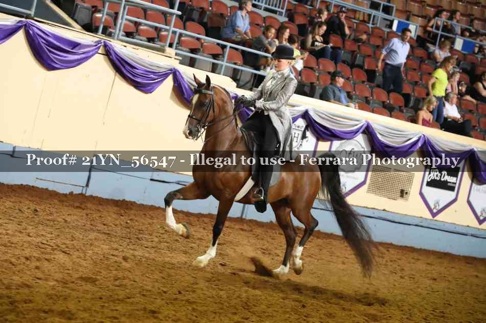 Proof Number 21YN_56547