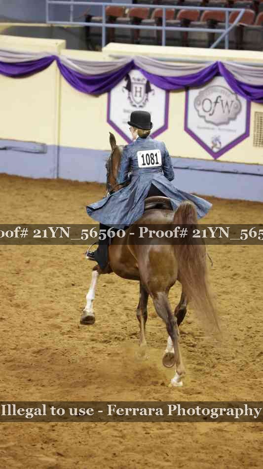 Proof Number 21YN_56560