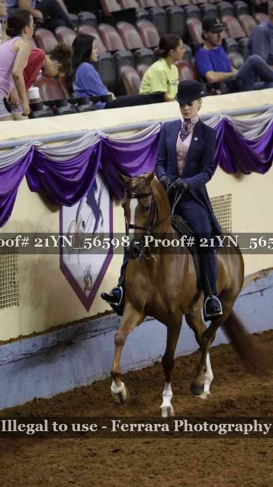 Proof Number 21YN_56598