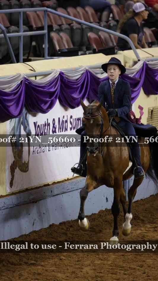 Proof Number 21YN_56660