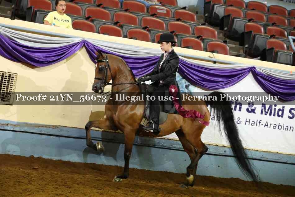 Proof Number 21YN_56673