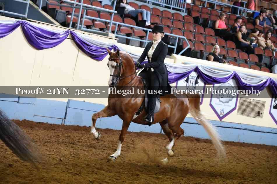 Proof Number 21YN_32772